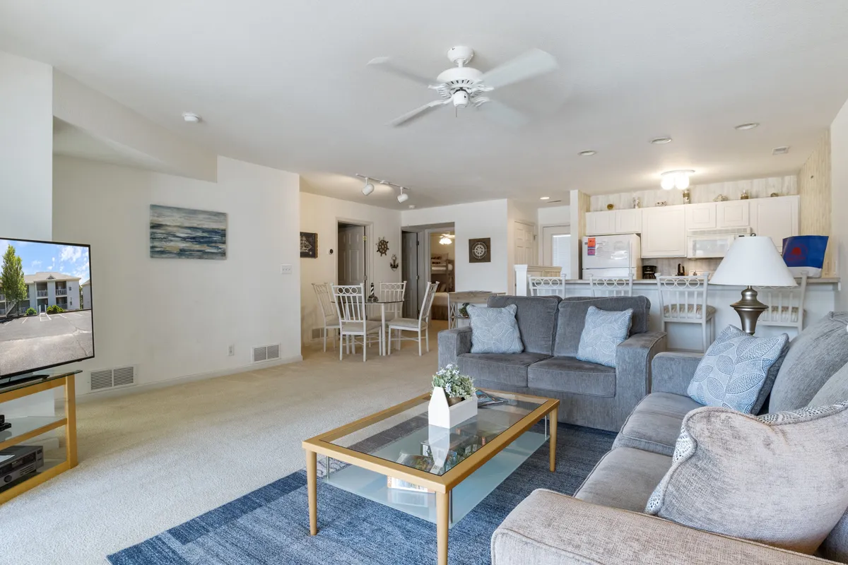 A connected living and dining space is shown, with a comfortable sofa, coffee table, television, and an adjacent dining area. Large windows fill the room with light, and the arrangement encourages easy flow between relaxing, socializing, and dining activities.
